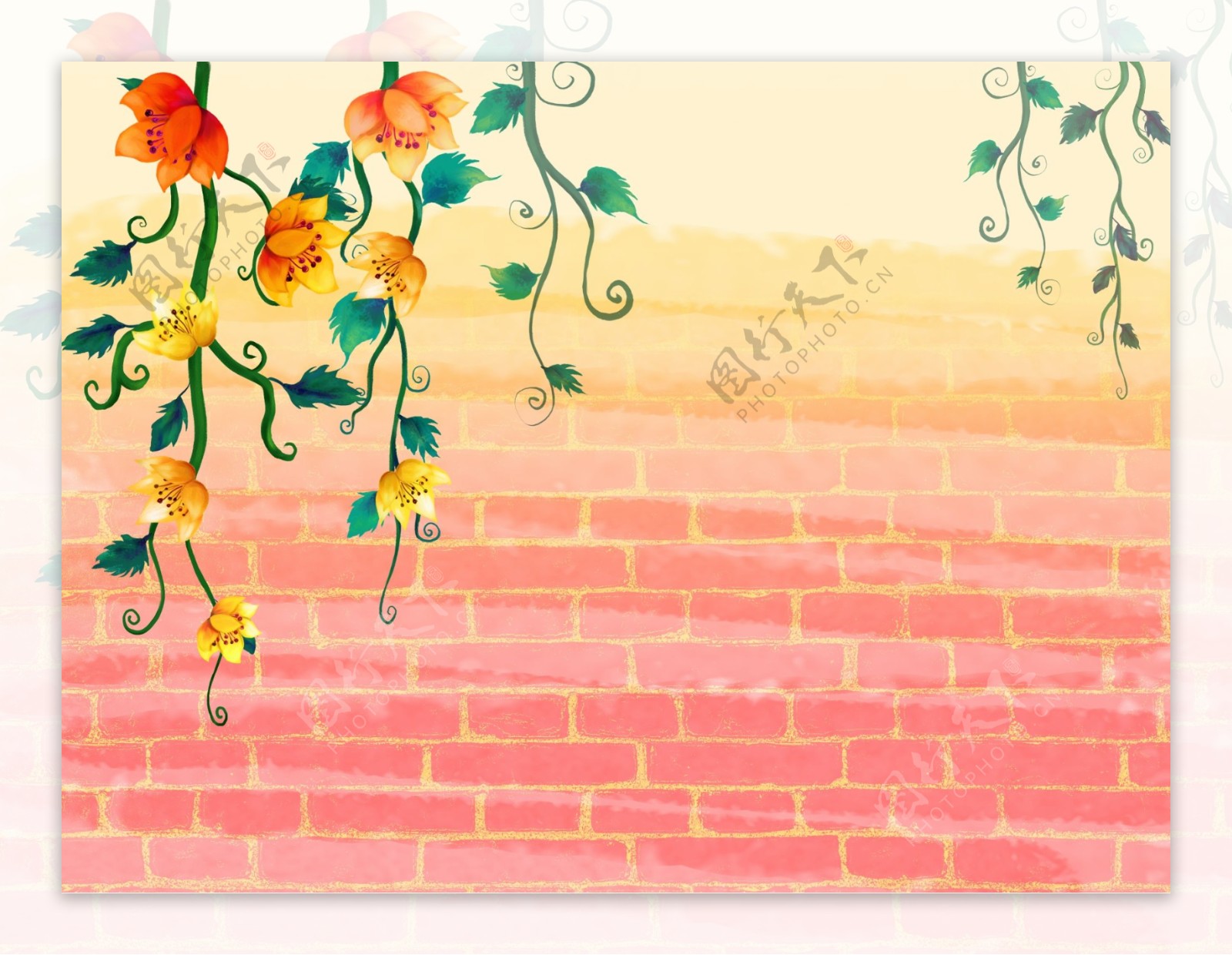 蔷薇花藤墙图片