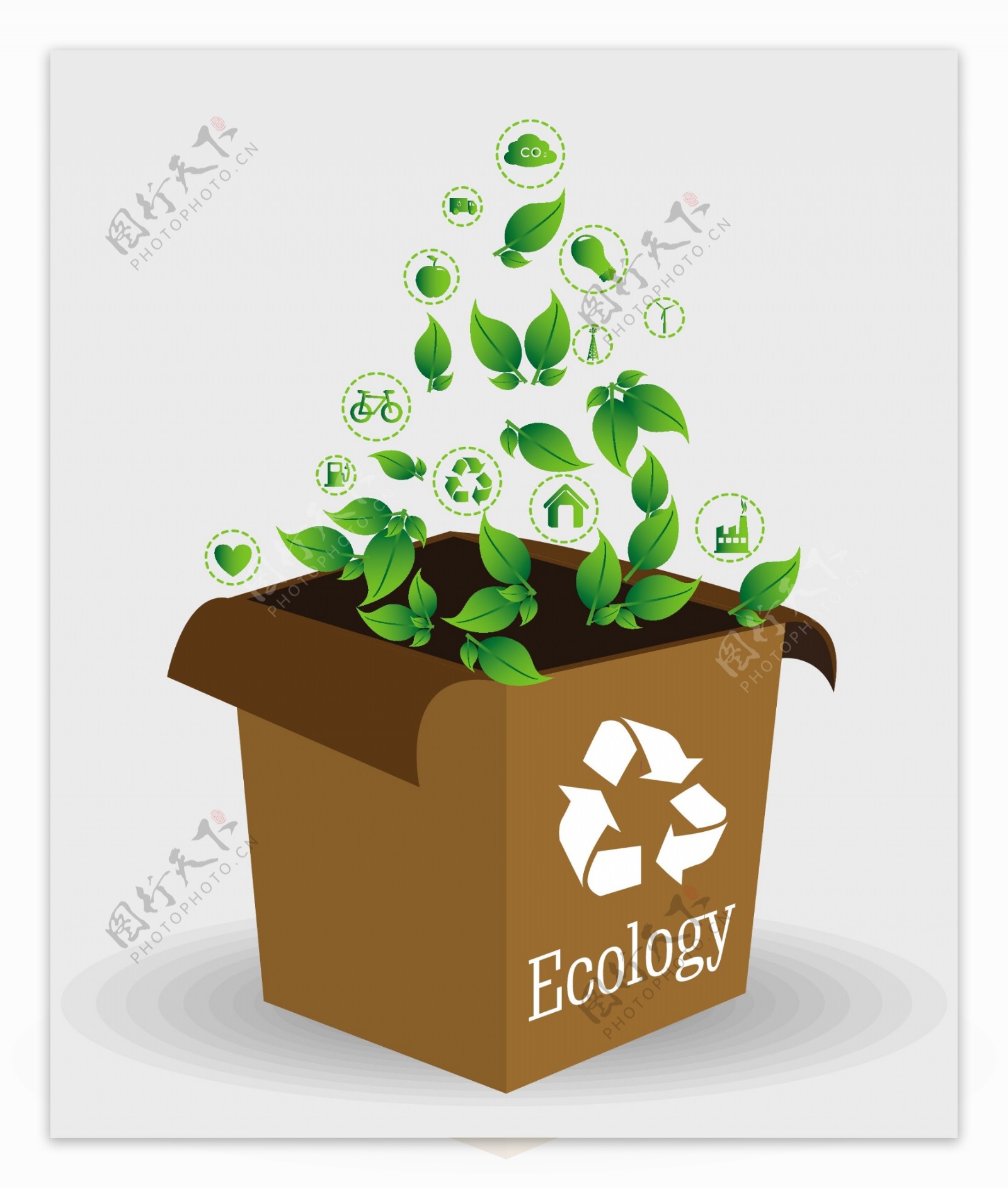 生态环保纸盒