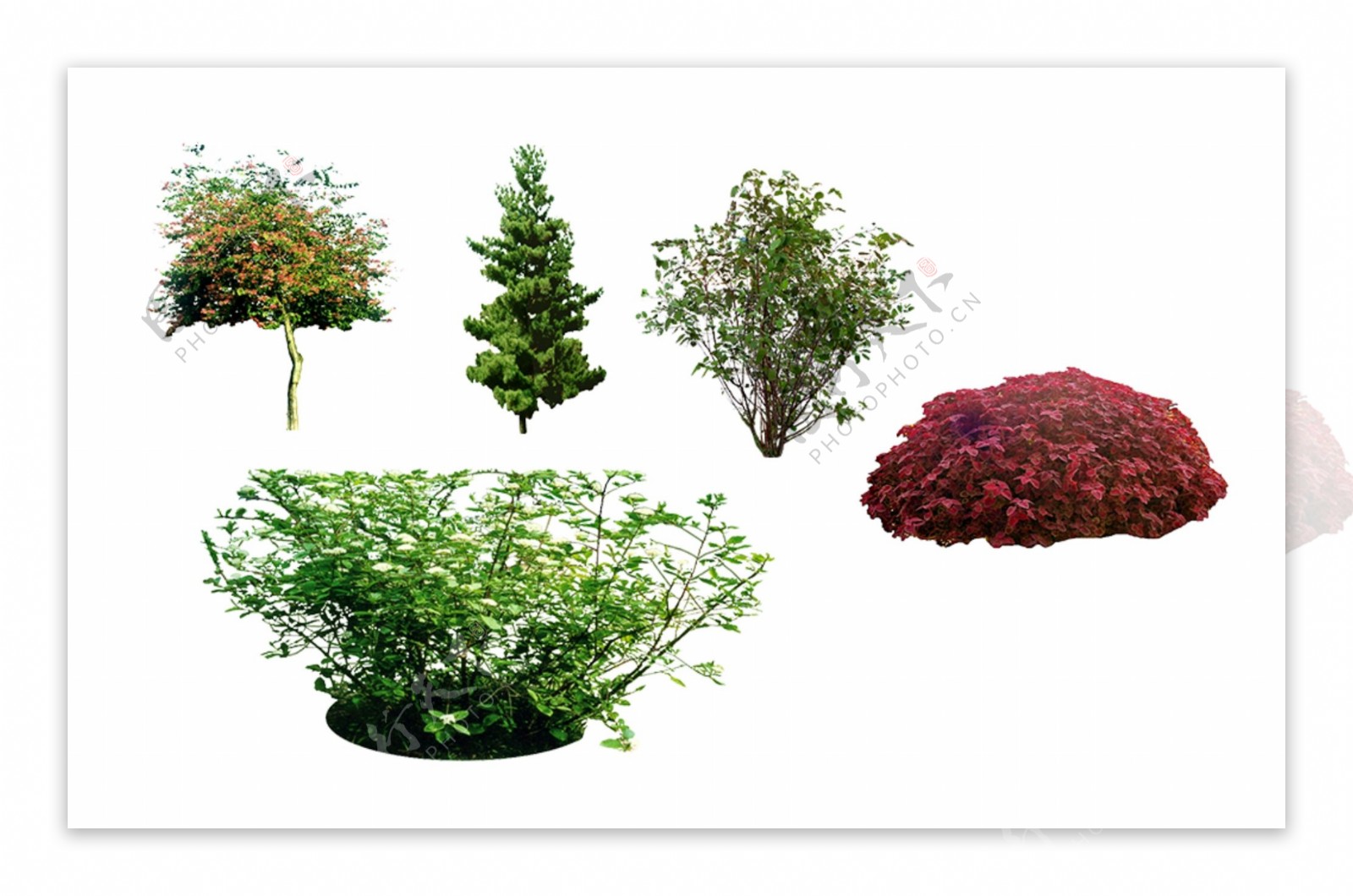 绿化景观素材树图片景观素材psd分层源文件下载