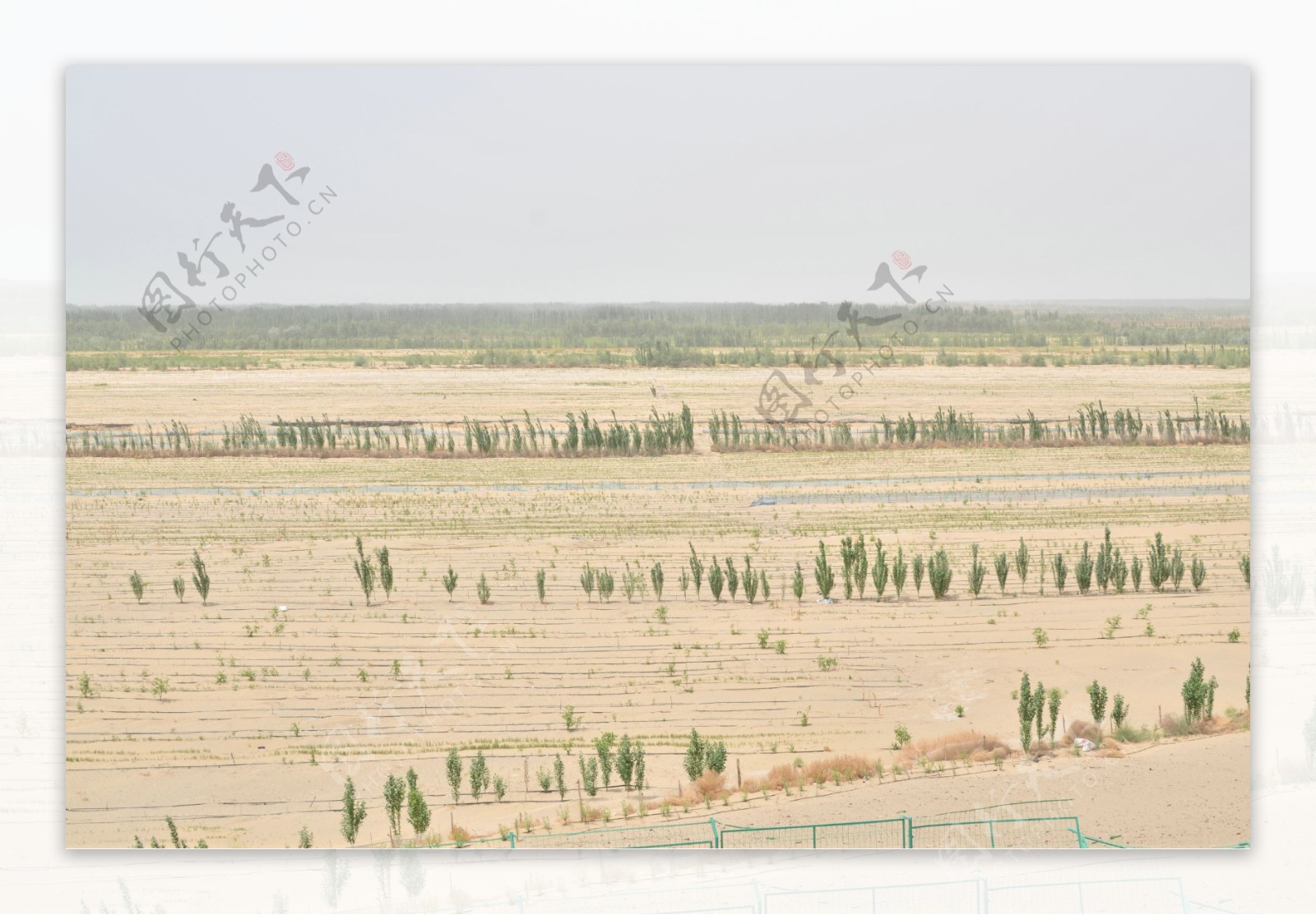 新疆农田图片