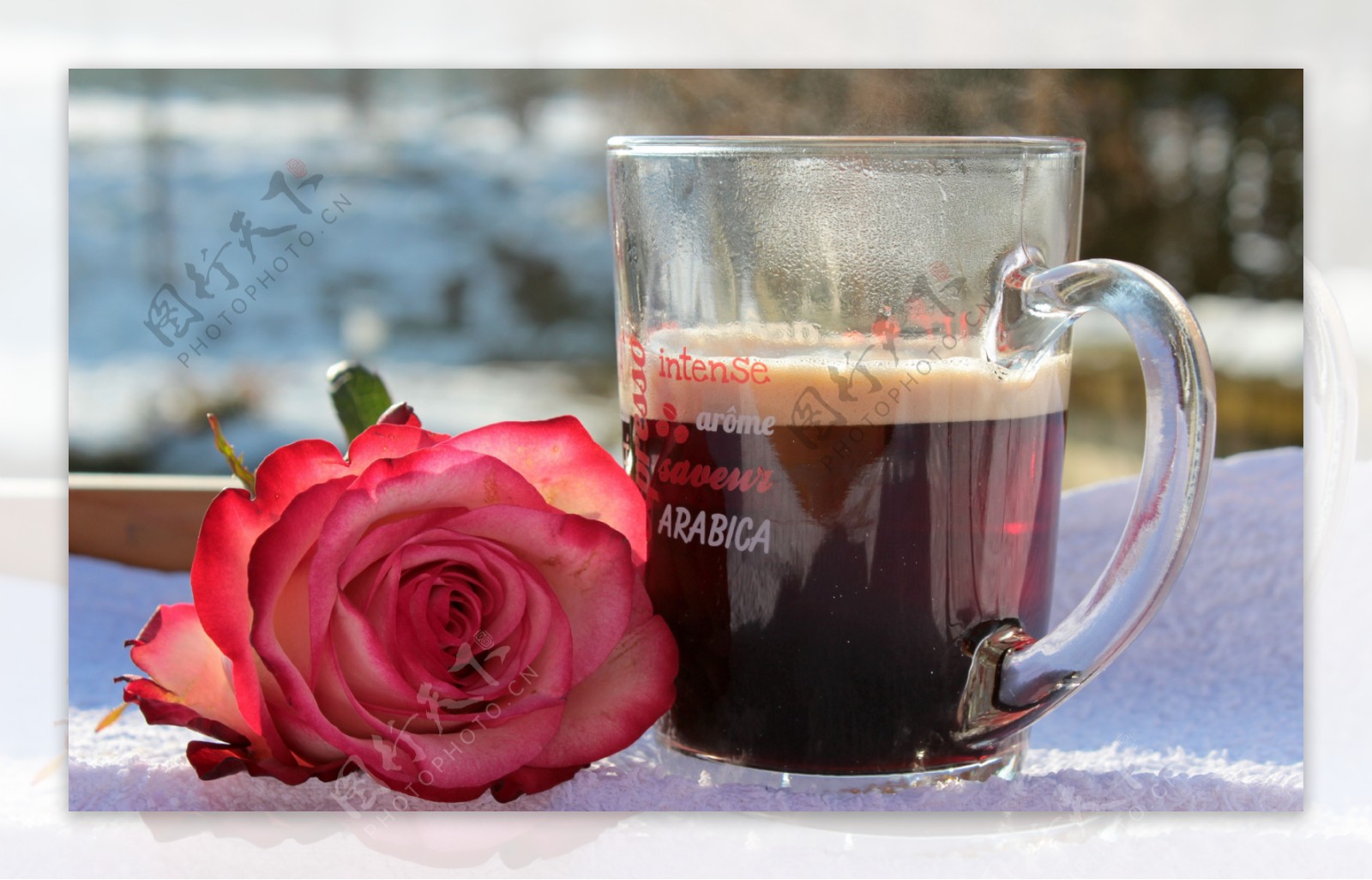 玫瑰咖啡图片