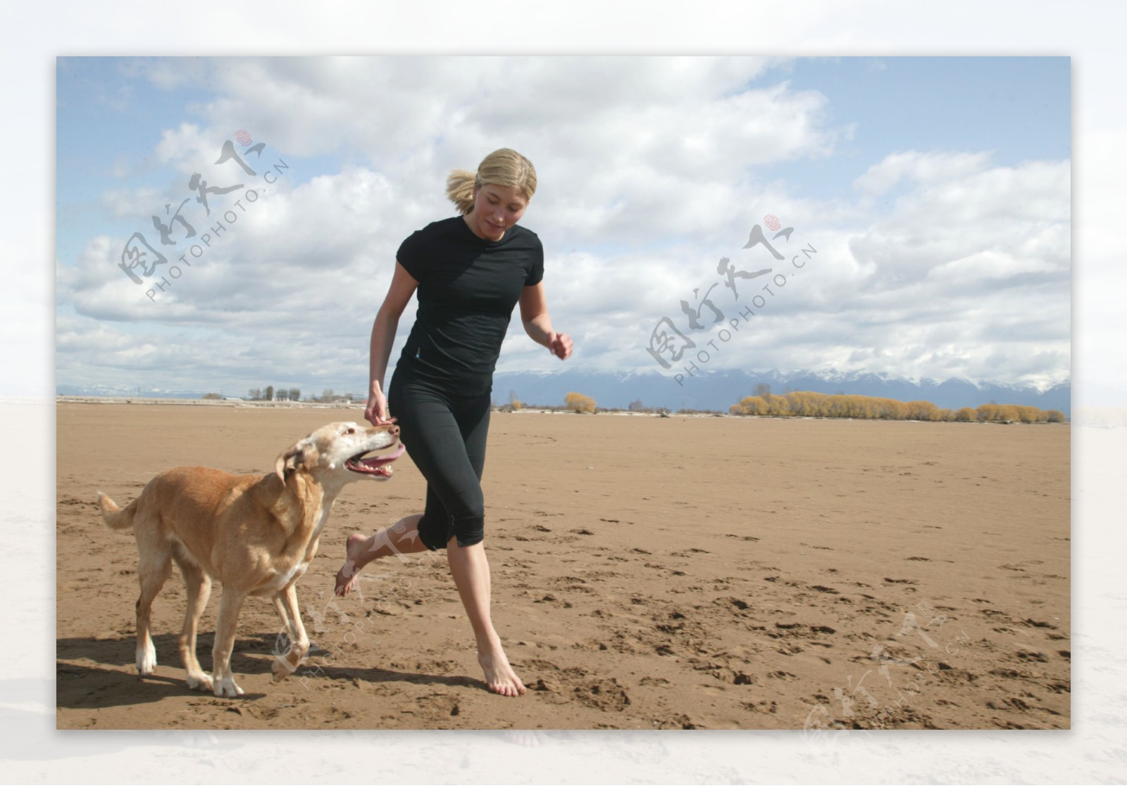 海滩上牵着狗的女人图片