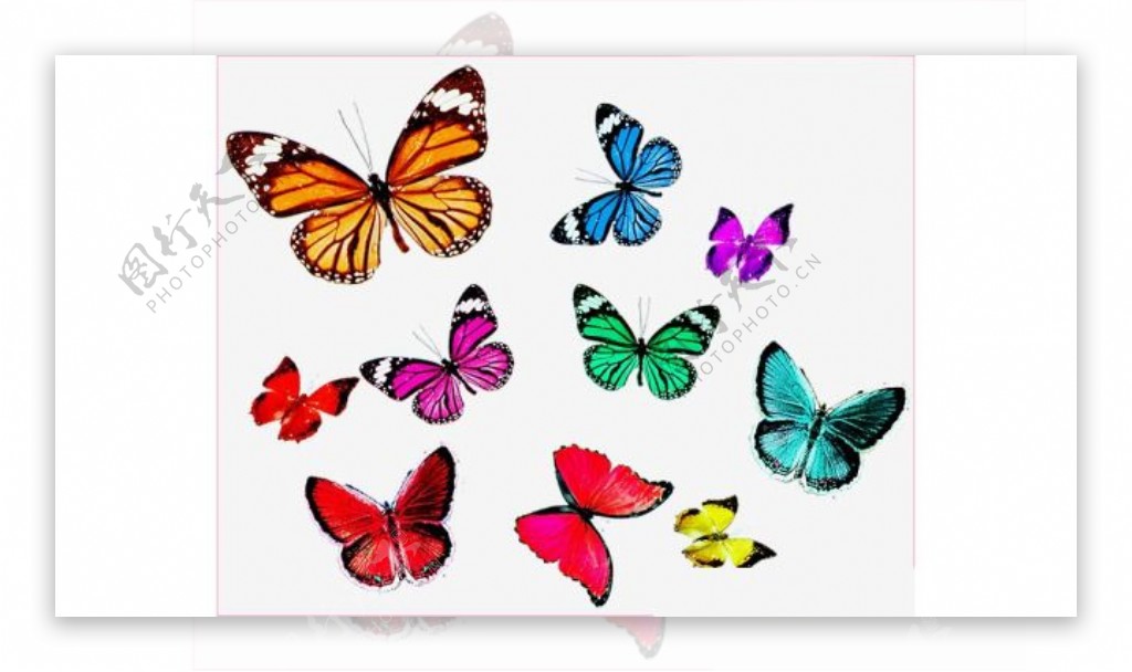 漂亮的七彩蝴蝶装饰笔刷
