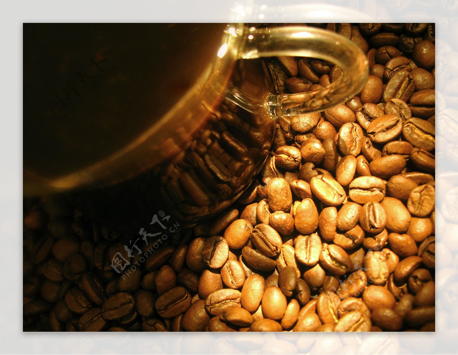 咖啡豆与透明咖啡杯图片