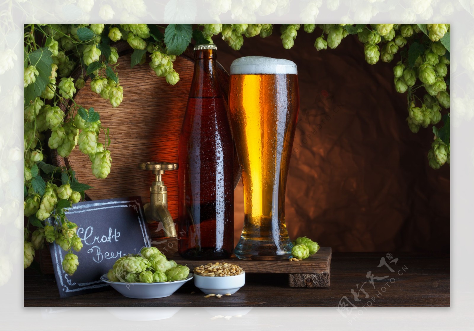 啤酒与啤酒花图片
