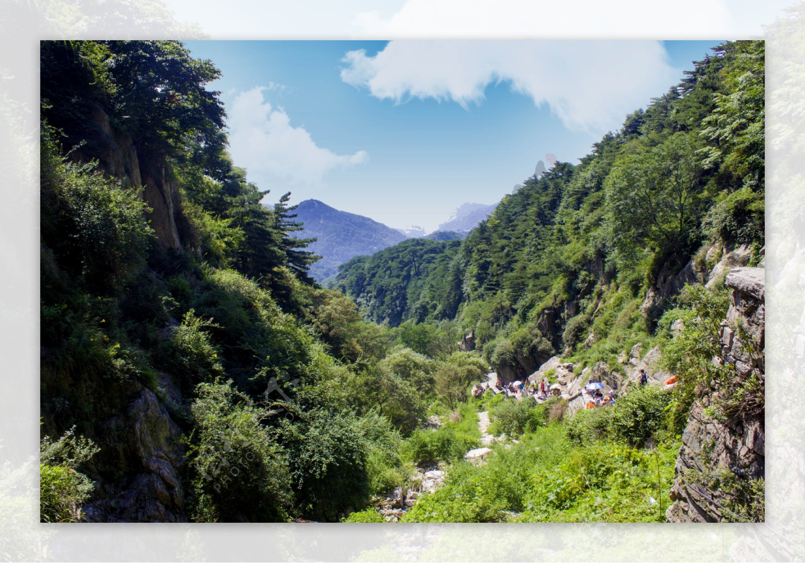 高清泰山绿色山间风光图片