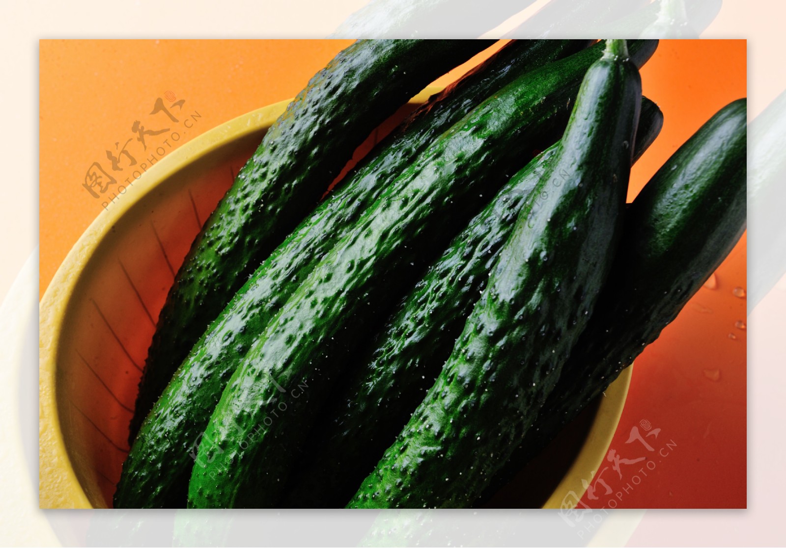 新鲜蔬菜黄瓜图片