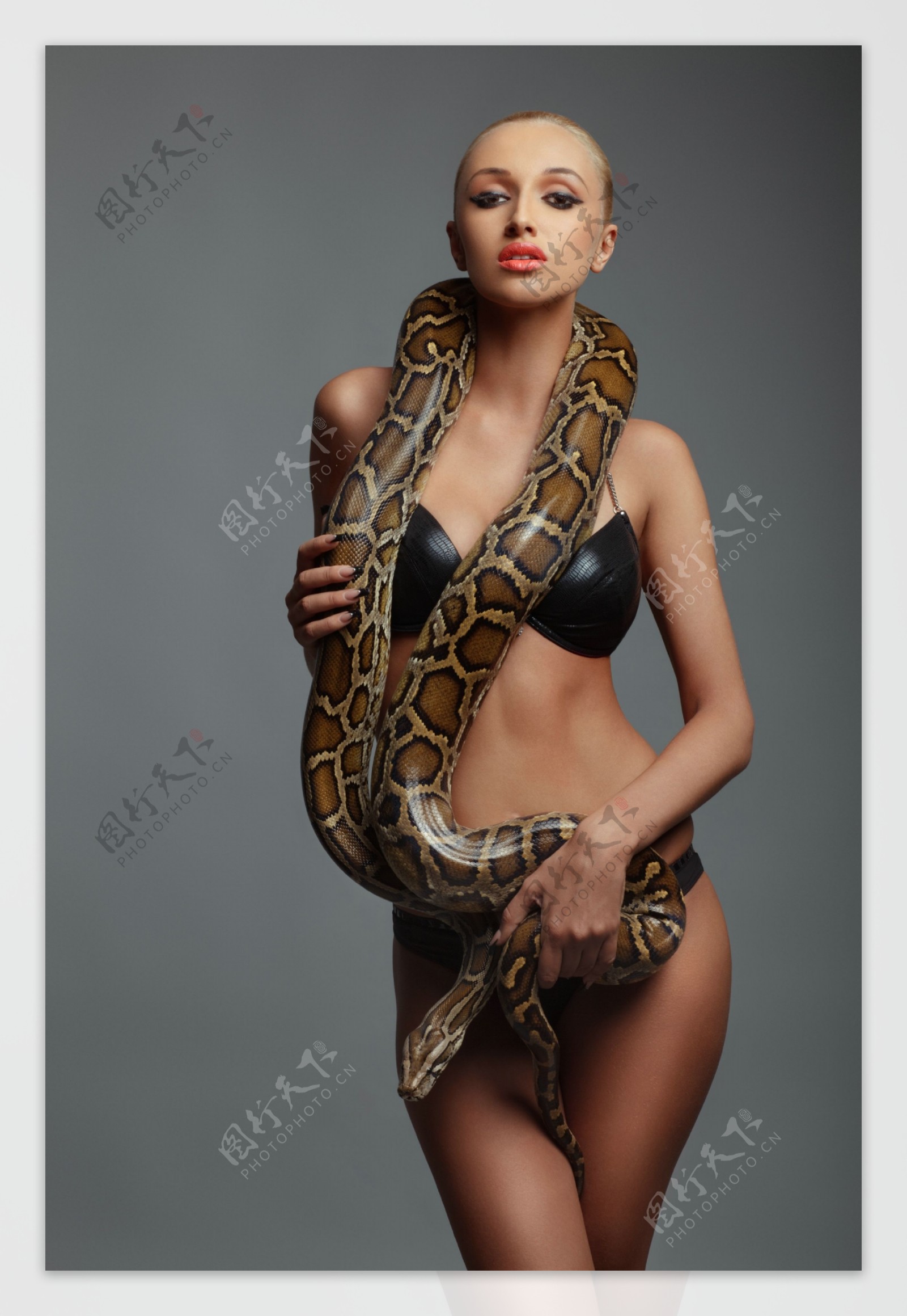 蟒蛇缠绕的美女图片