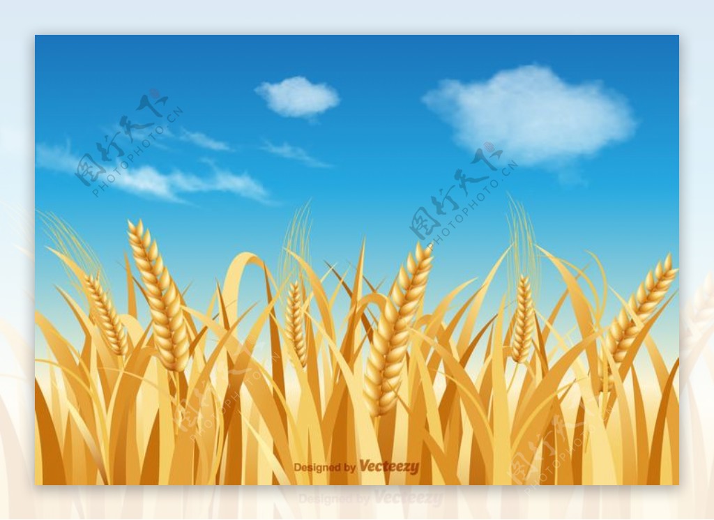 自由小麦秸秆矢量景观