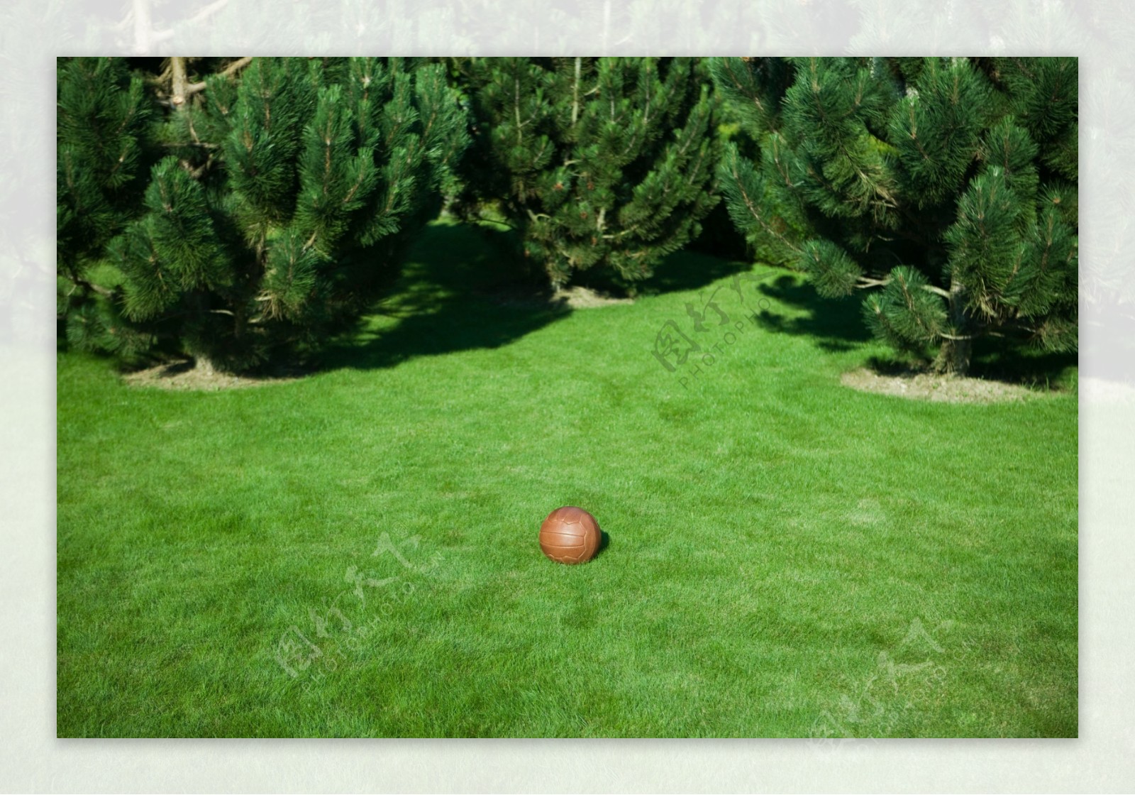 草地上的球