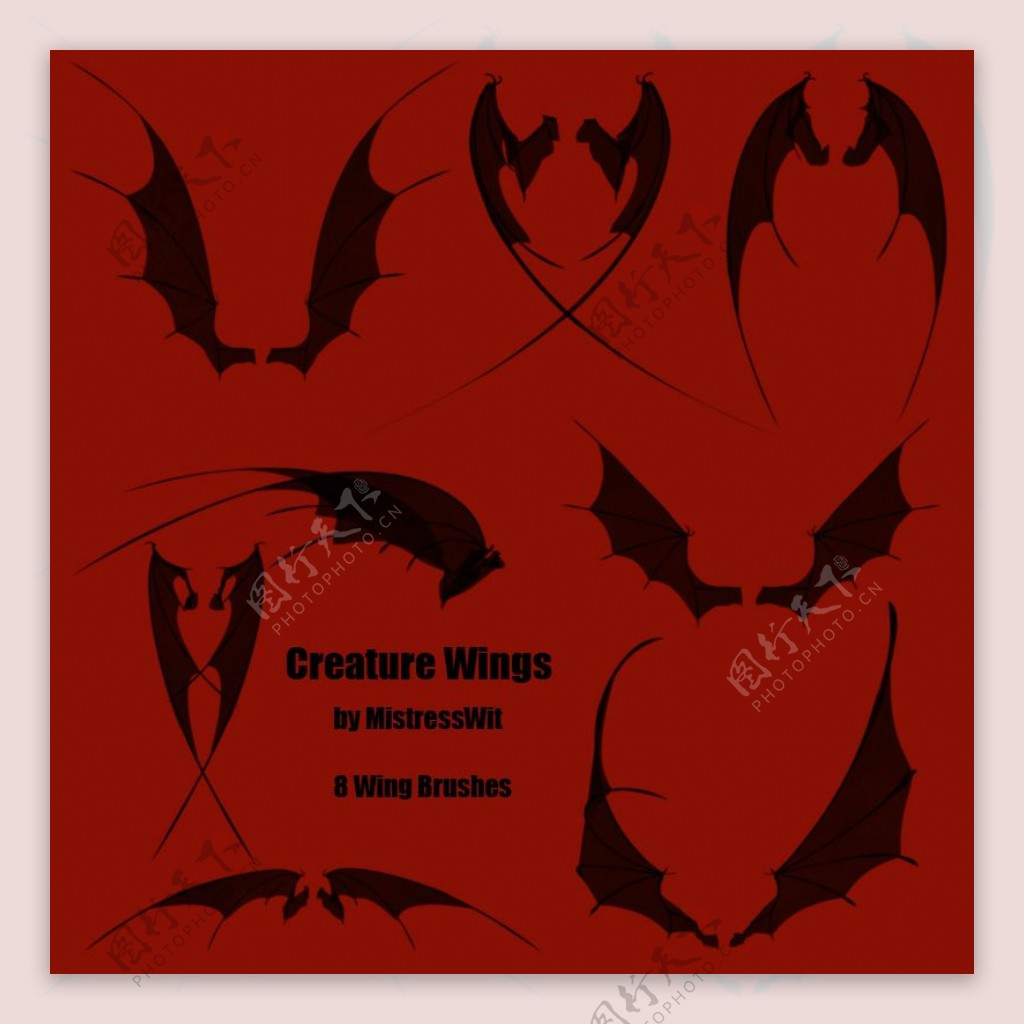 飞行的蝙蝠各种姿势剪影photoshop笔刷素材下载