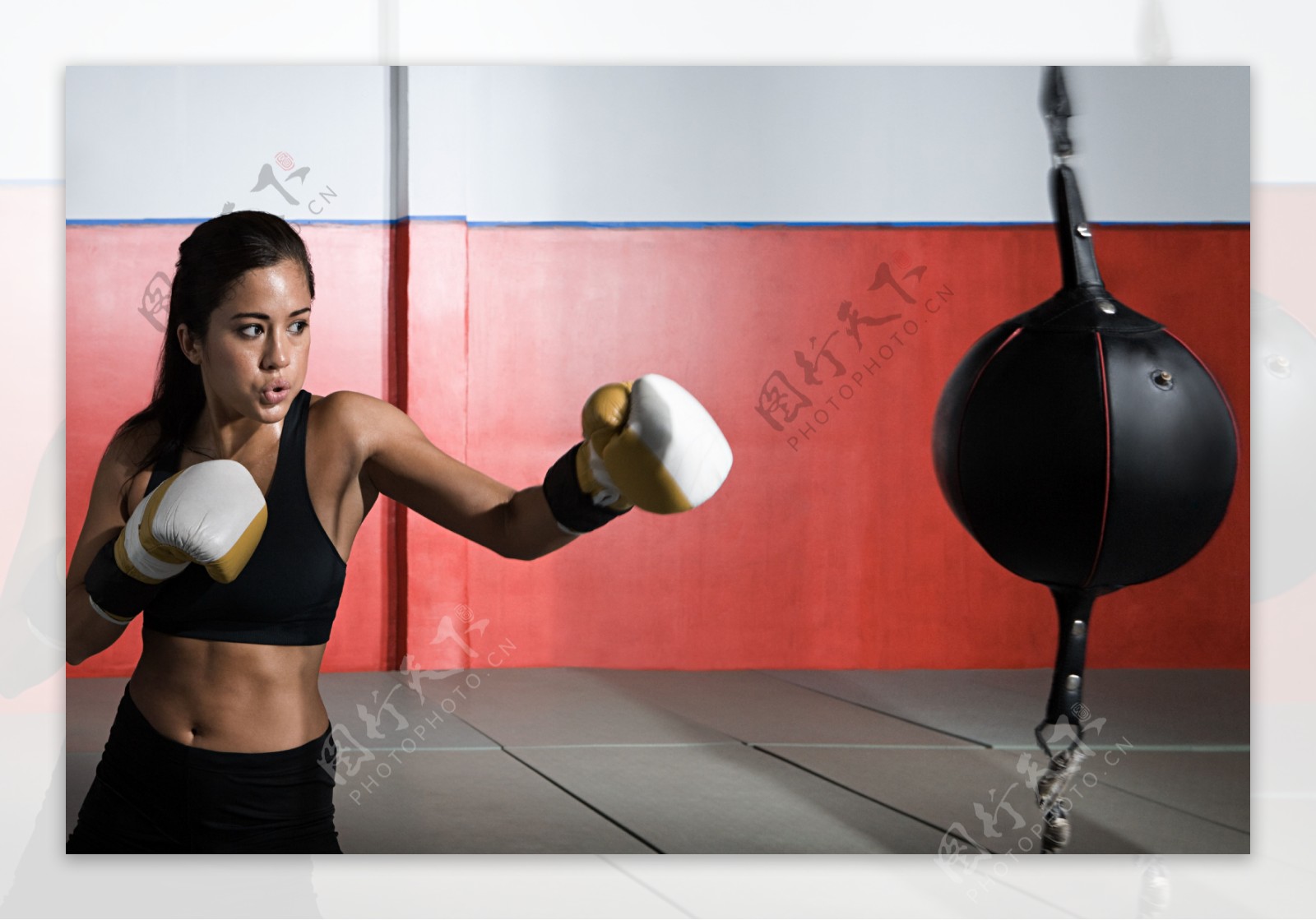 努力训练的女拳击手图片图片