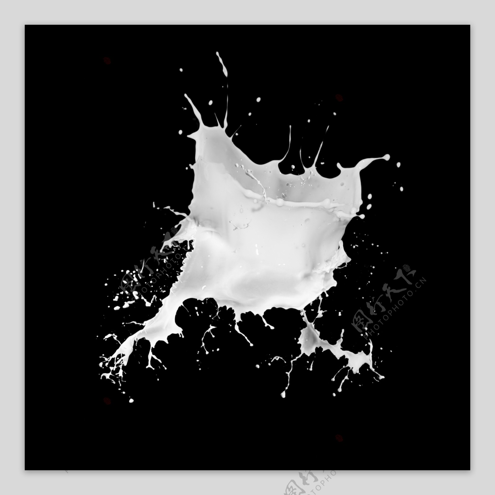 飞溅的白色牛奶奶花