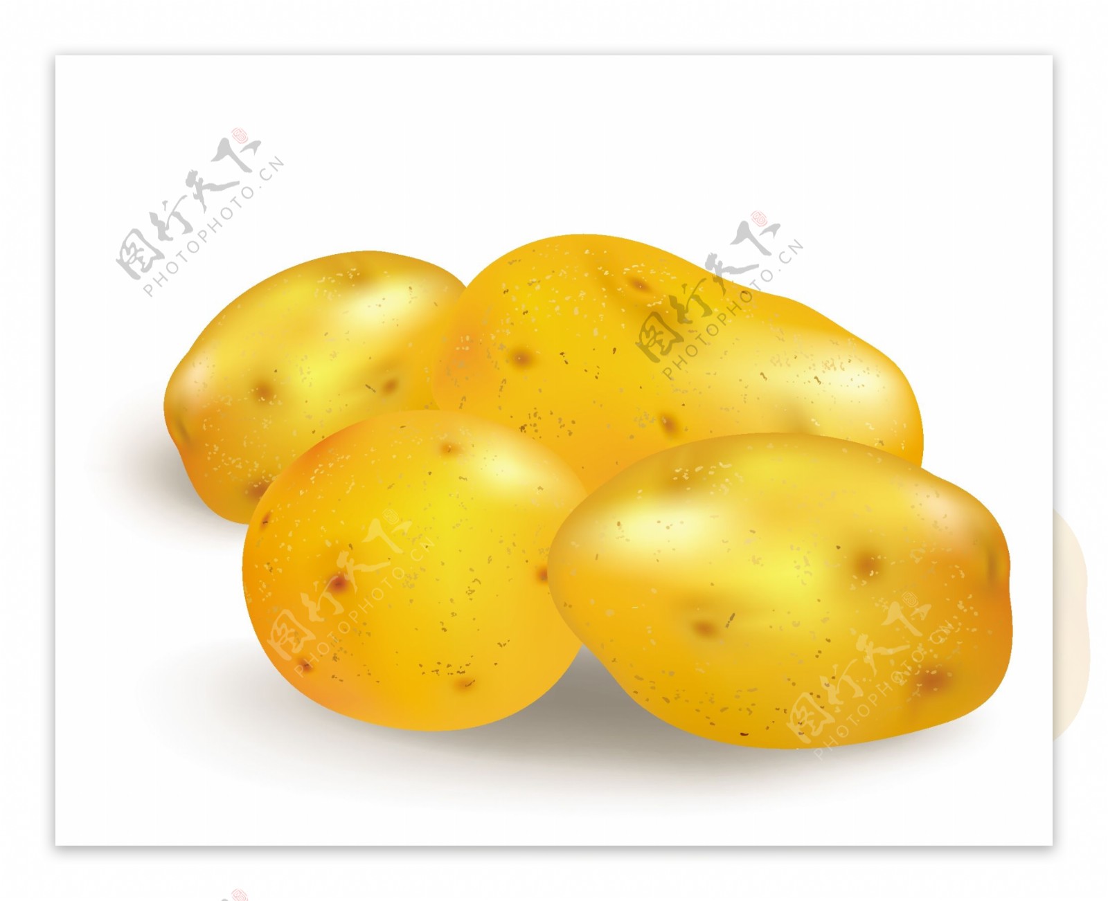 四个土豆