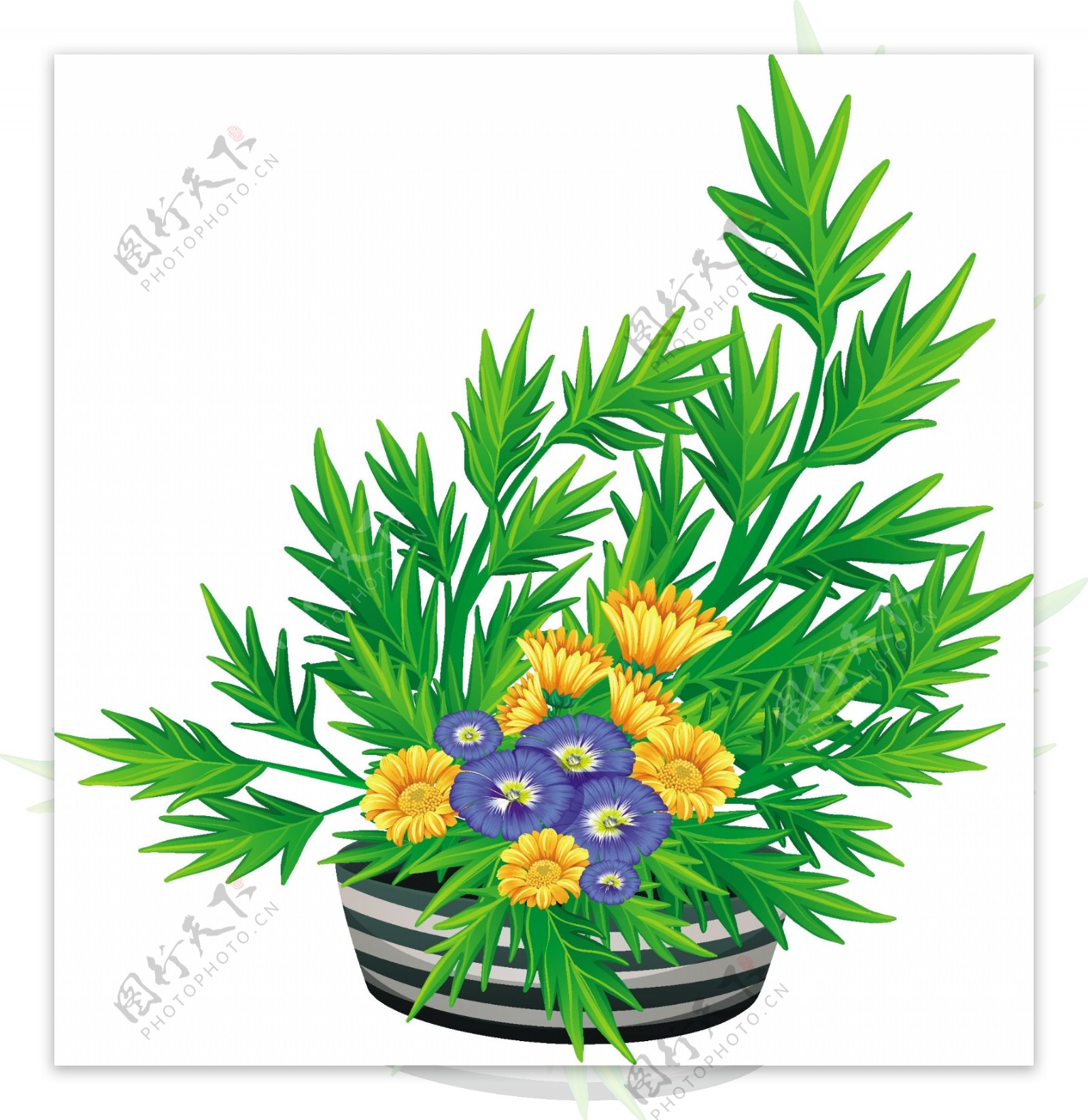 花盆植物装饰插图