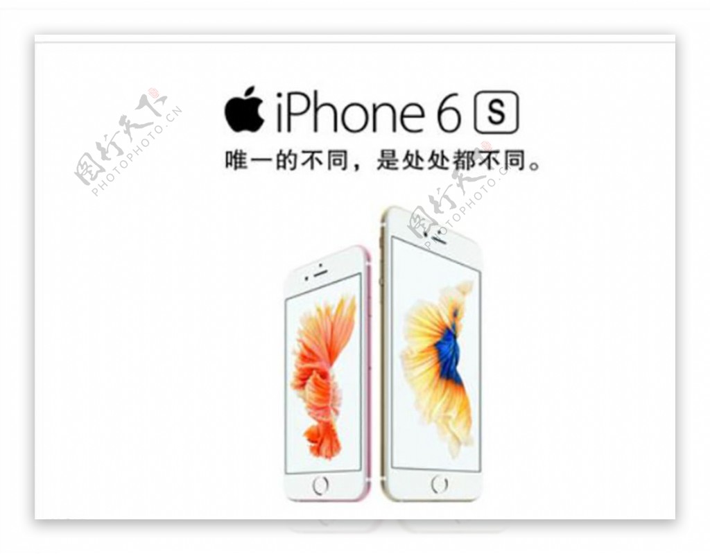 玫瑰金苹果6SiPhone图片