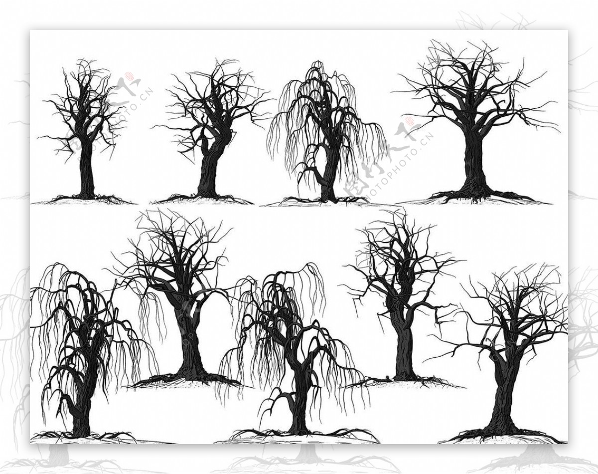 枯干的树木恐怖大树Photoshop鬼树笔刷