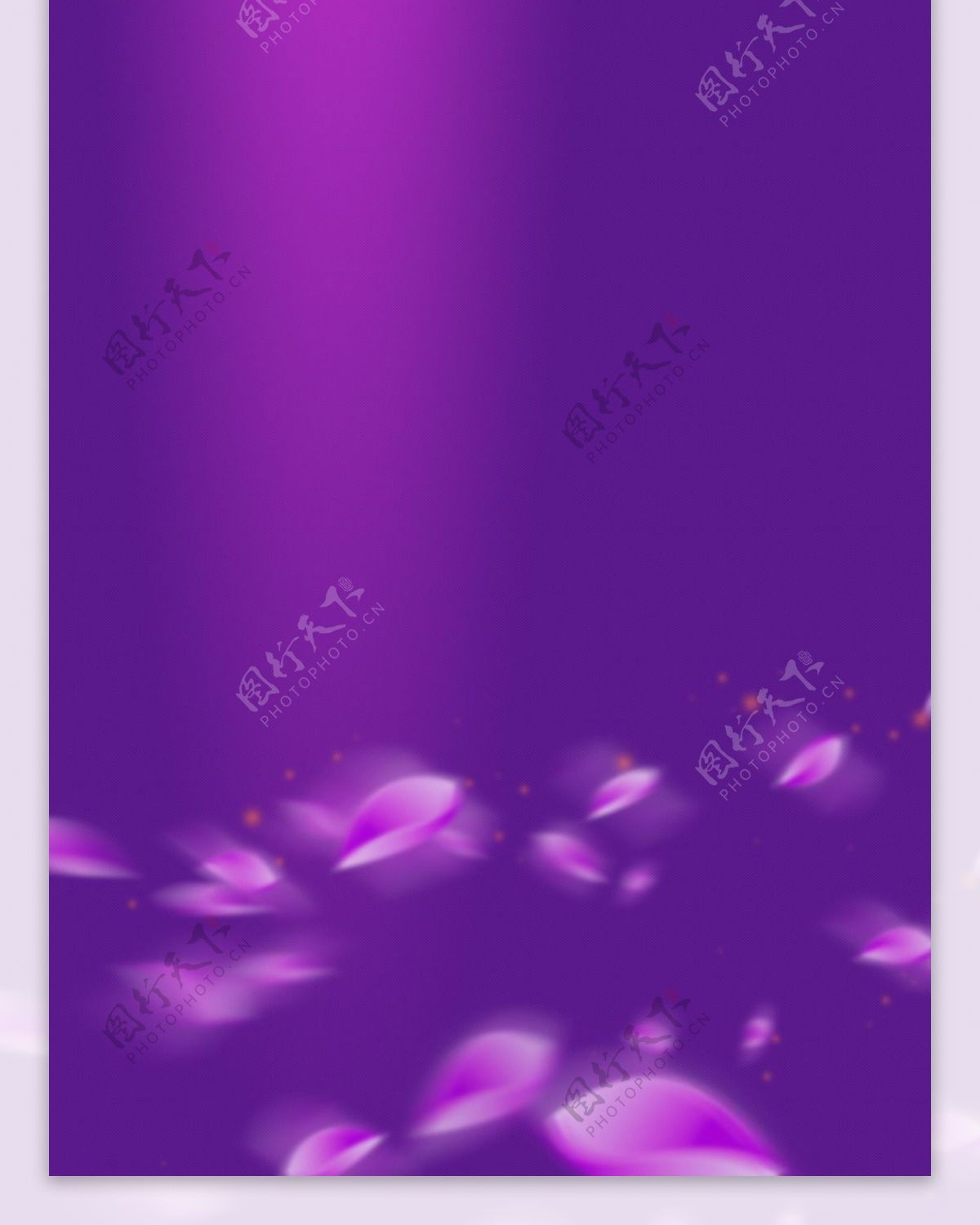 紫色花瓣展板背景