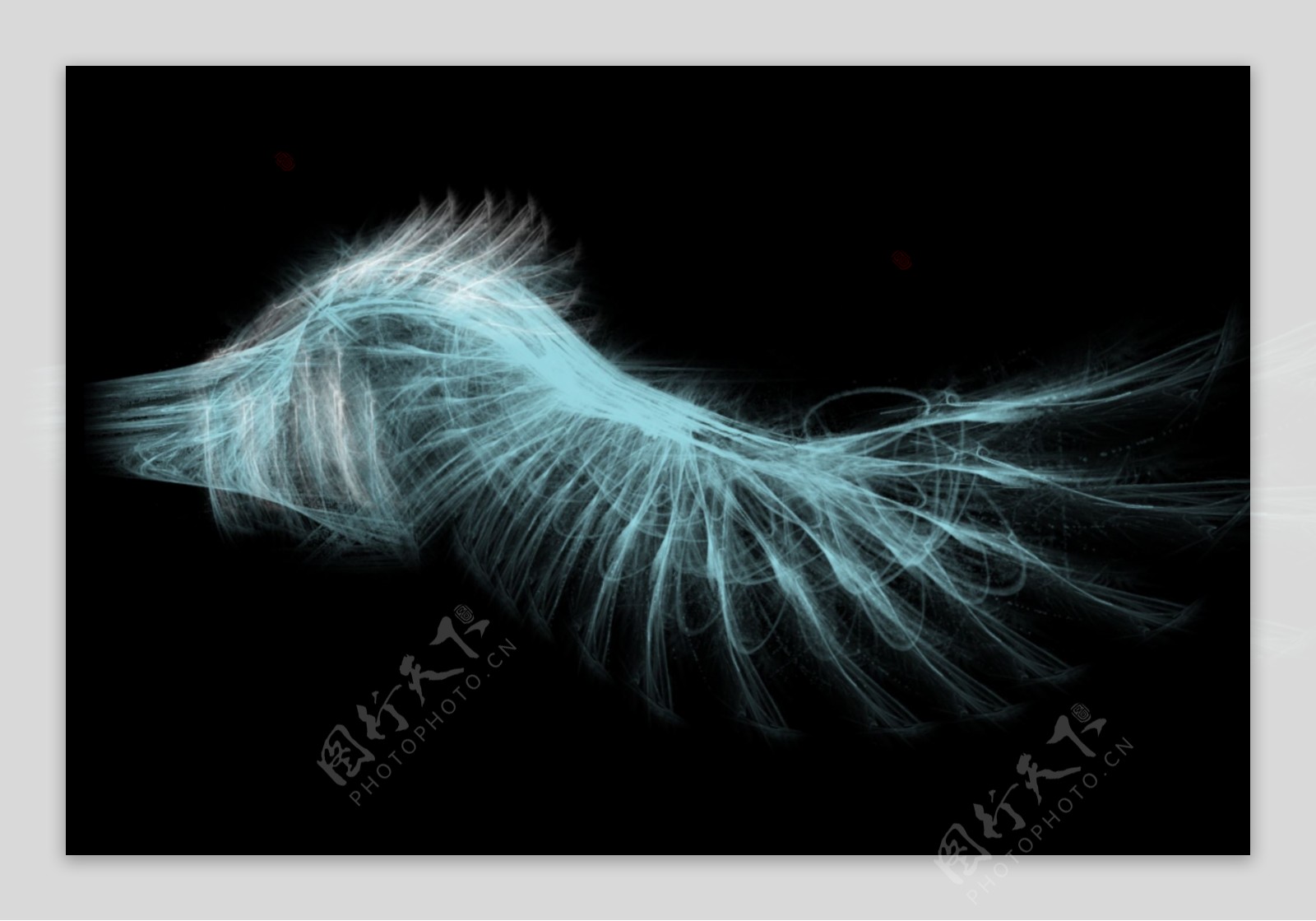 羽化翅膀wing图片