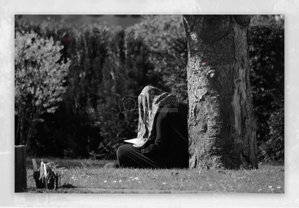 坐在树下阅读古兰经的少女