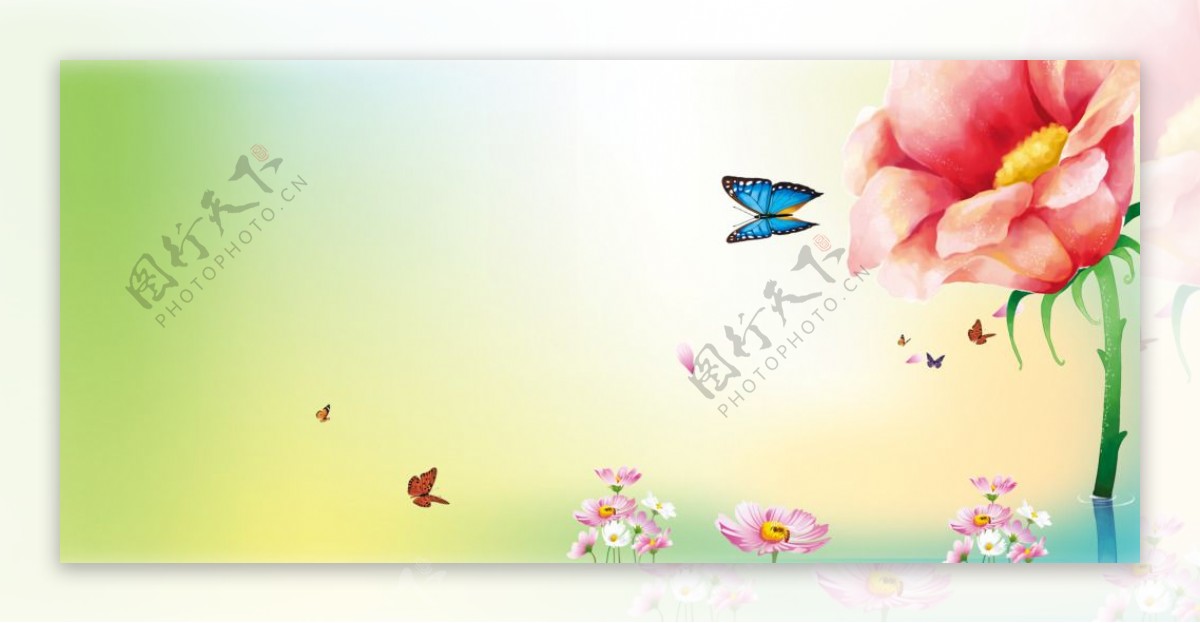 绿色花朵蝴蝶背景图片