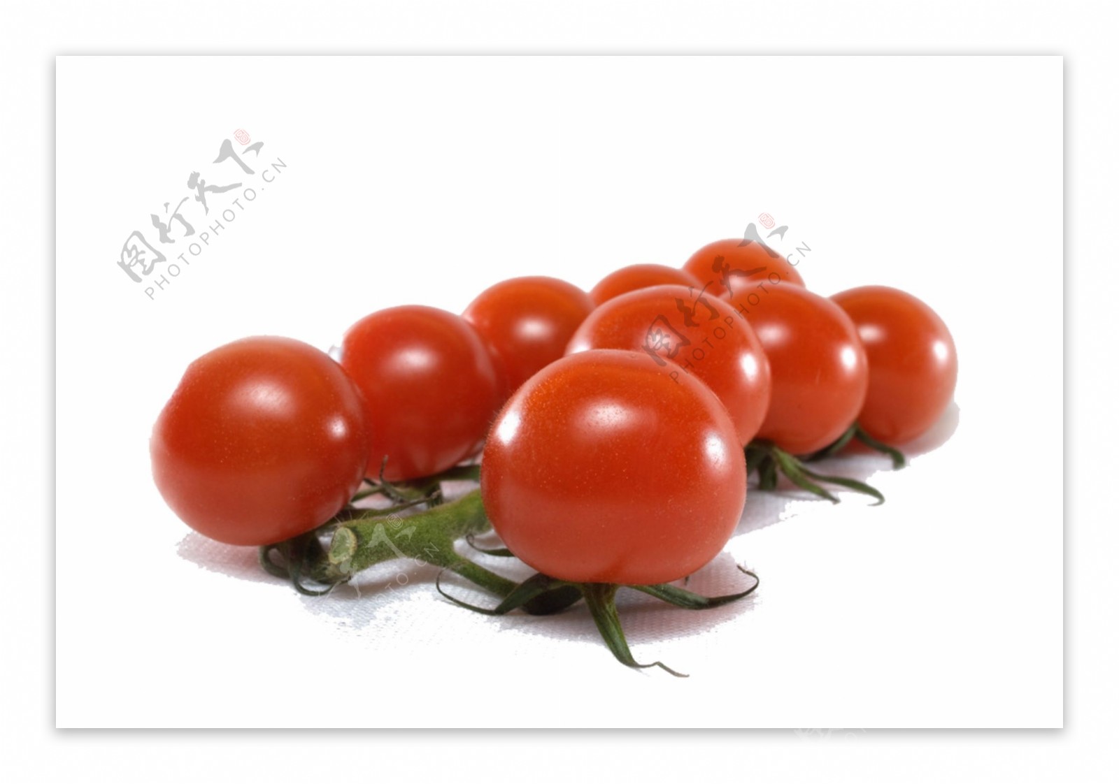 多个番茄PSD