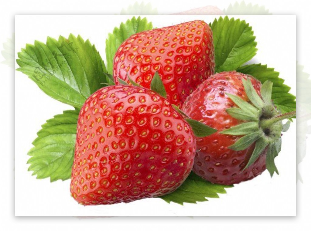 草莓分层图