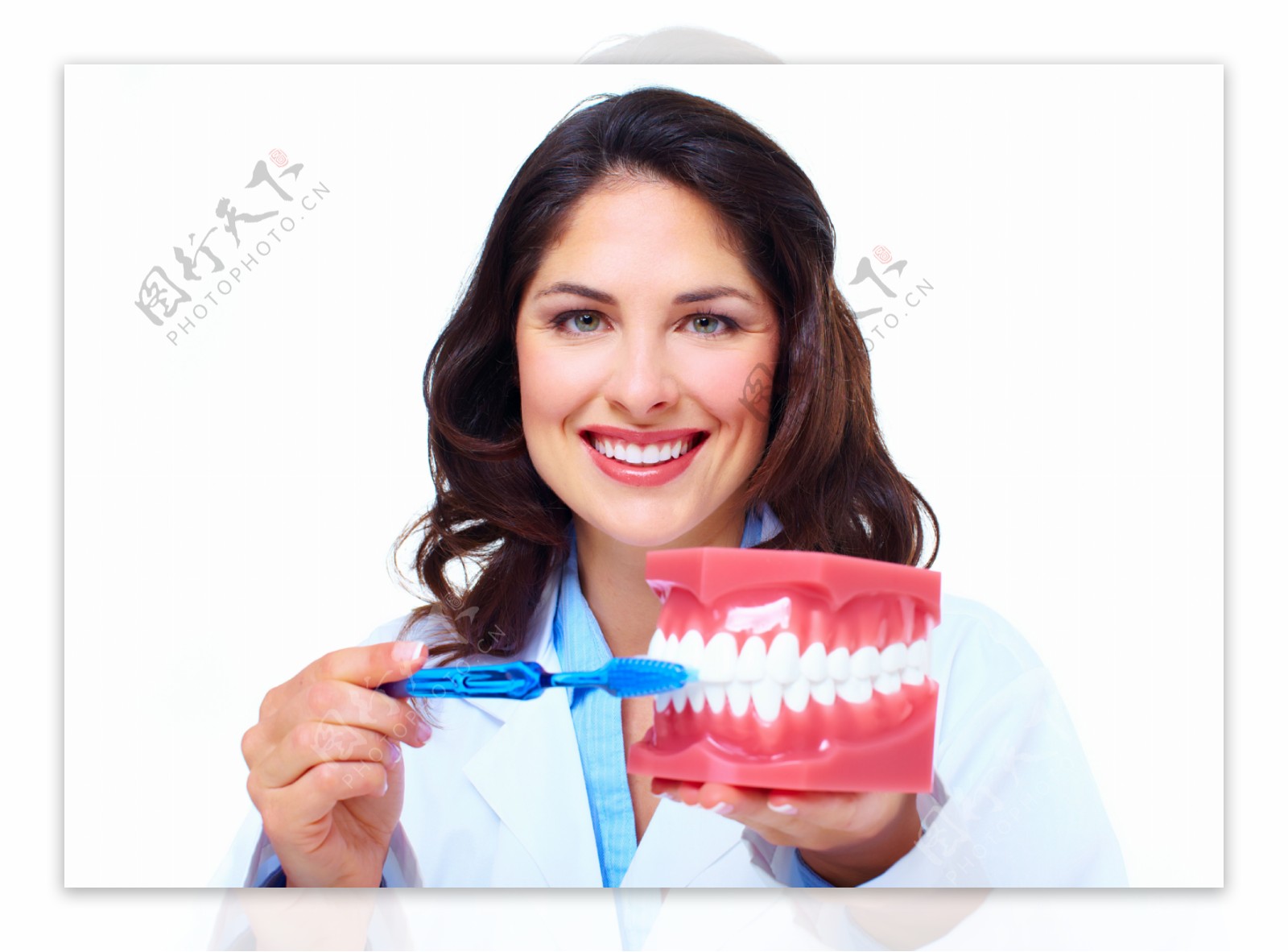 拿着模型刷牙的医生图片