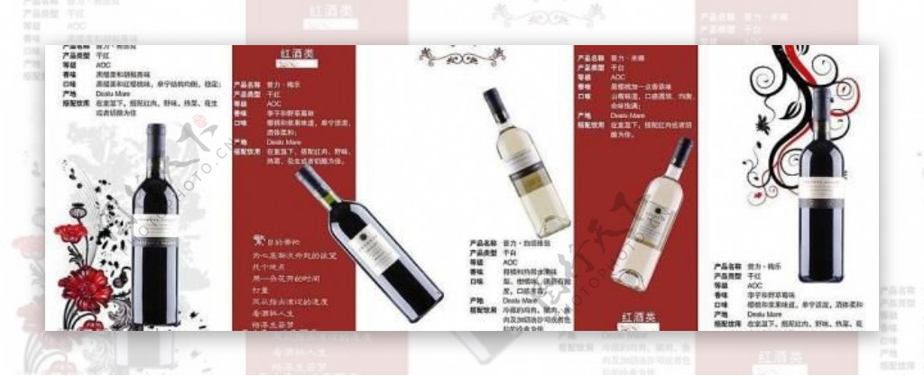 红酒宣传册系列图片