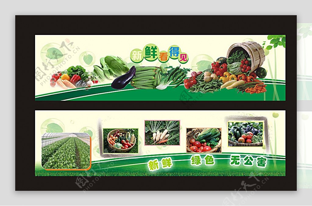 有机蔬菜展板设计图片