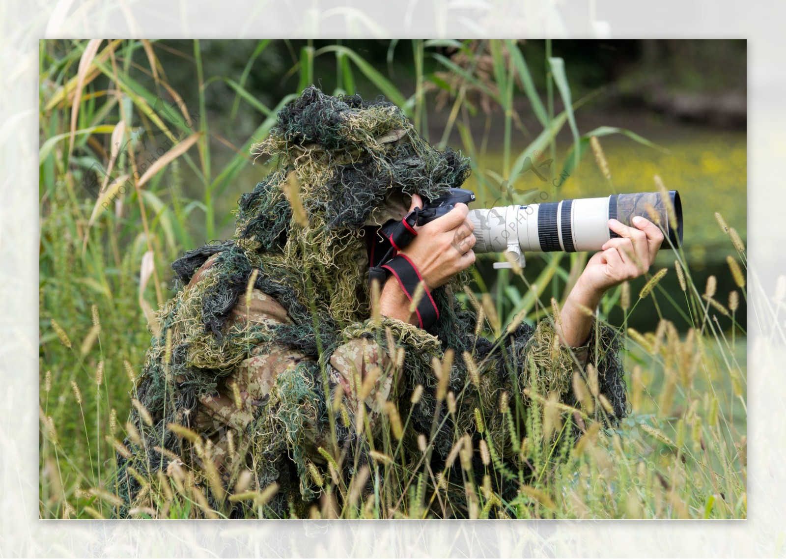 草丛中观察的军人摄影图片