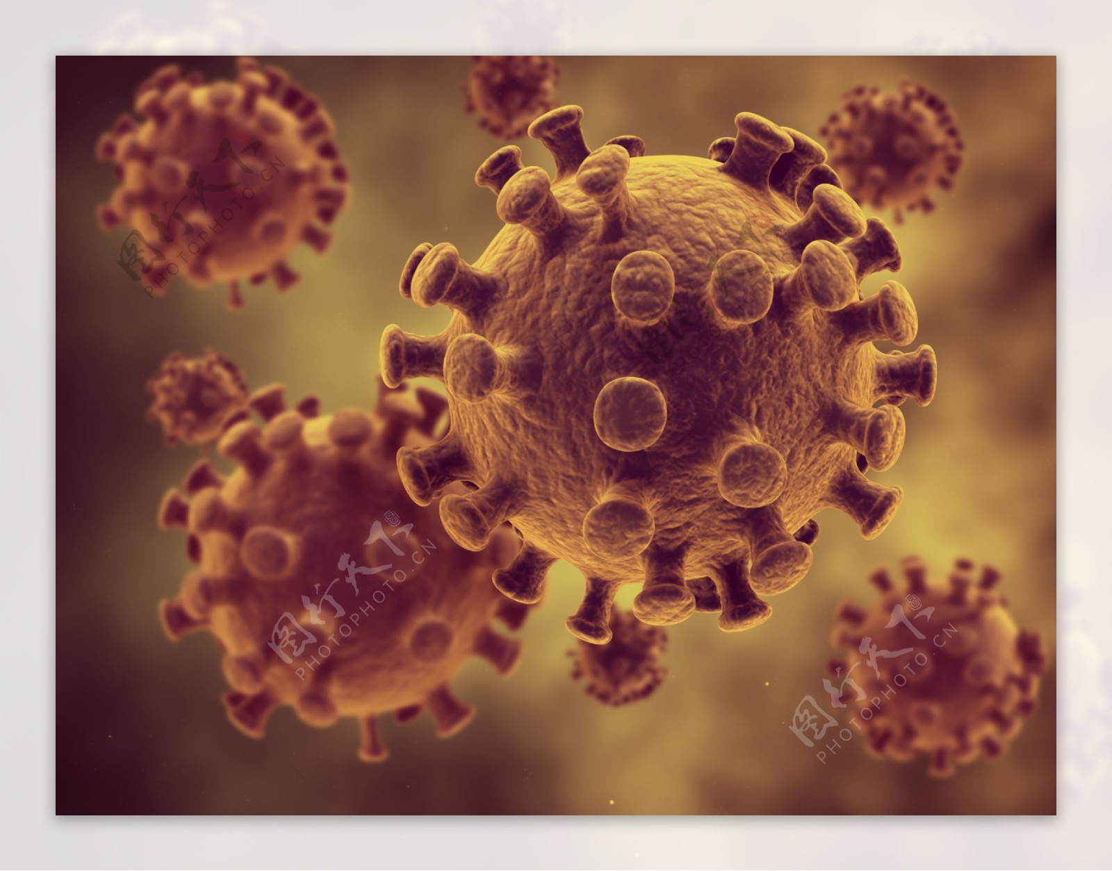 球形带刺病毒图片