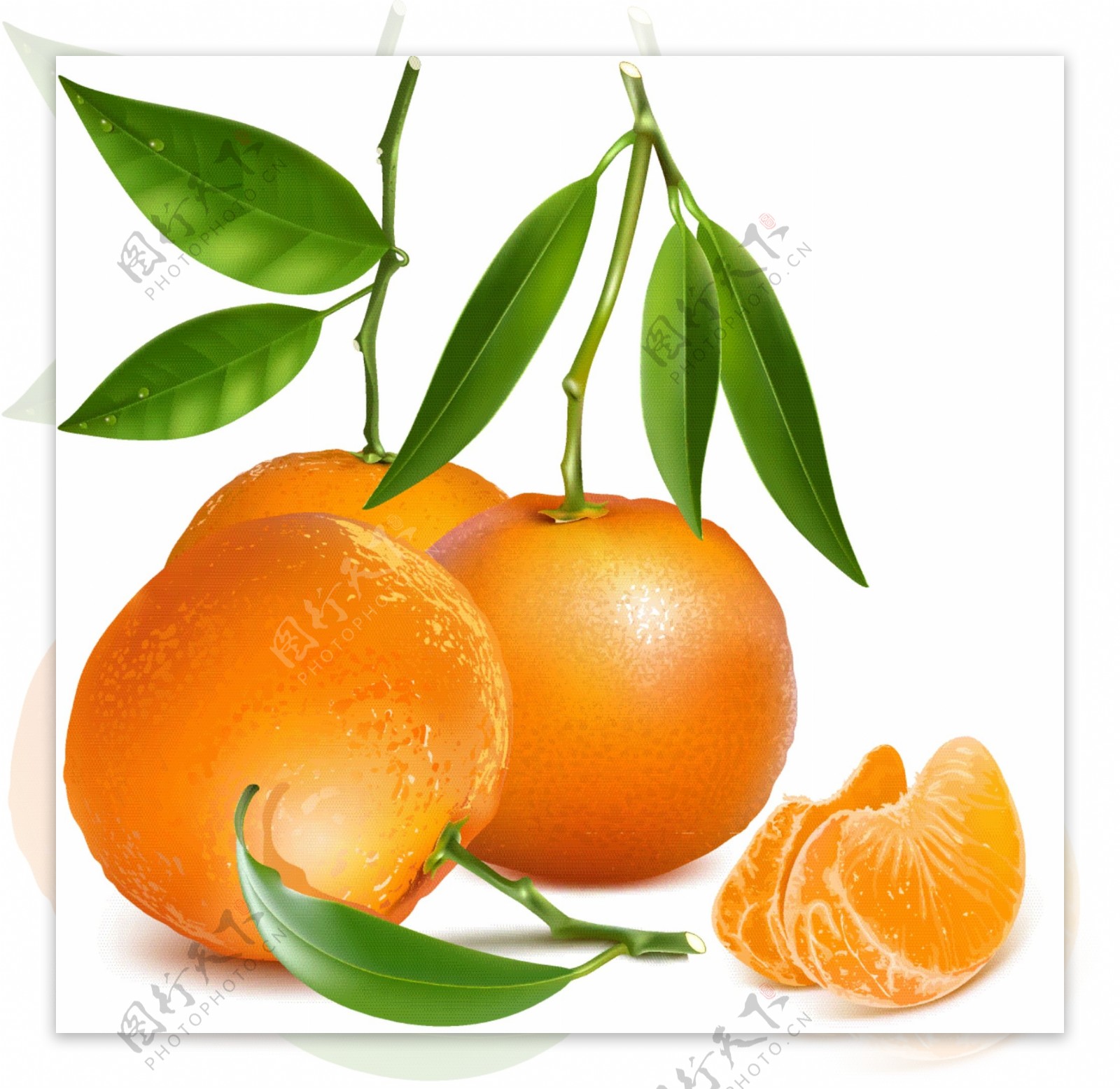 新鲜橘子设计
