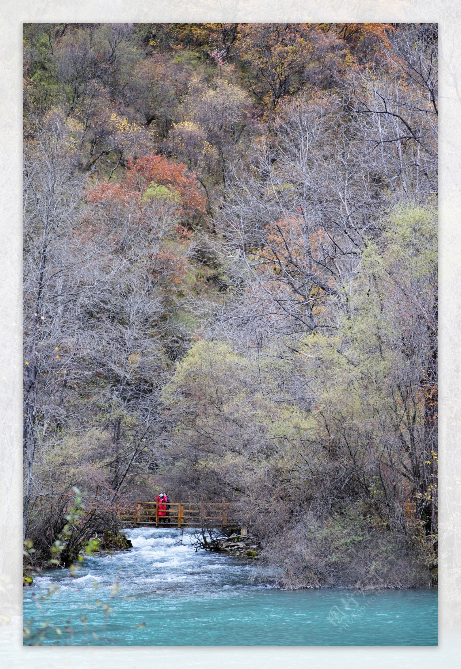 四川松坪沟风景