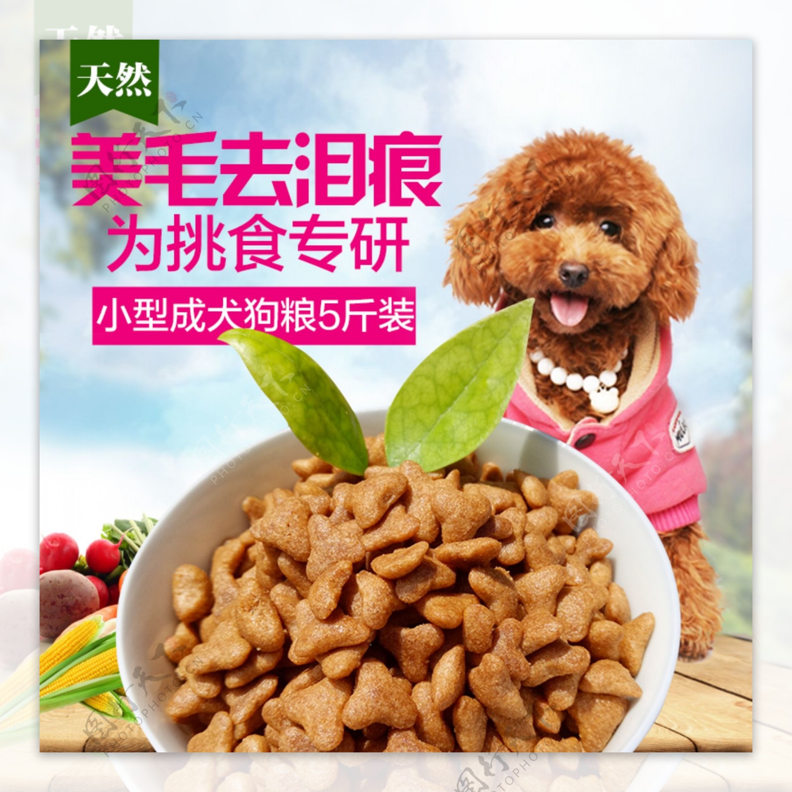 小型成犬狗粮