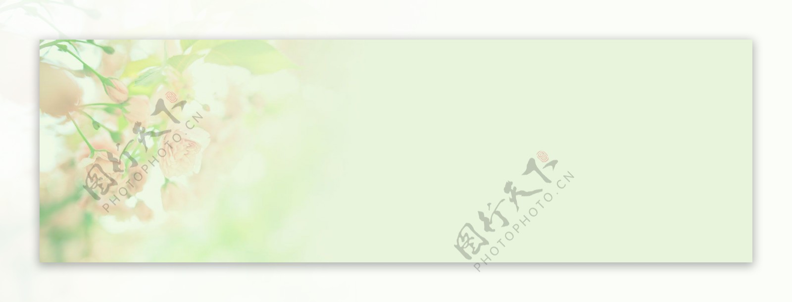 绿色花朵清纯背景banner