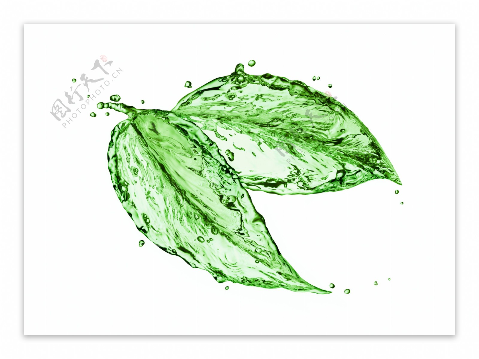 创意水纹绿叶