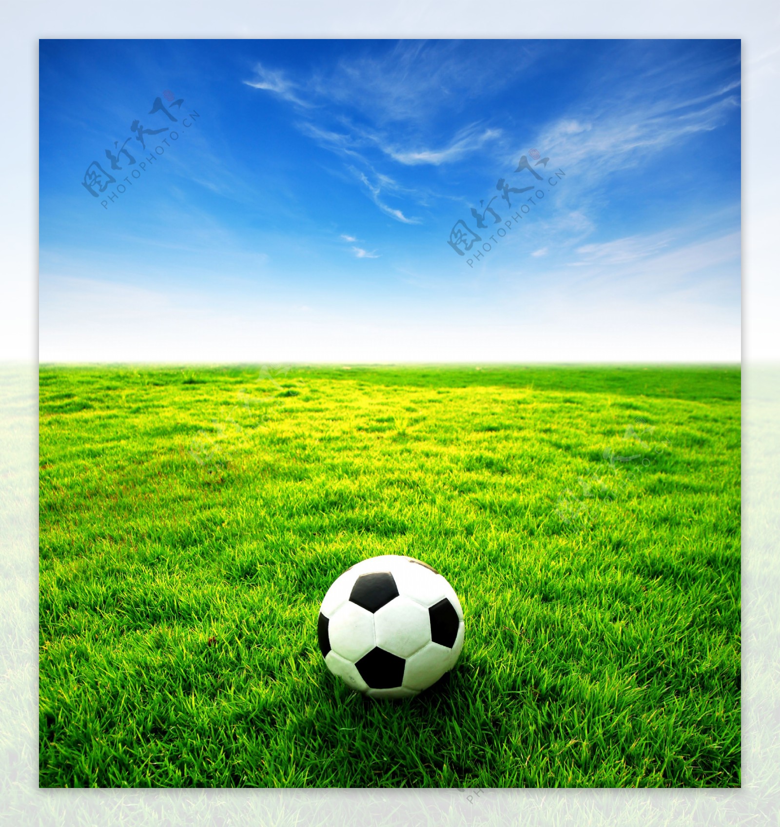 草地上的足球摄影