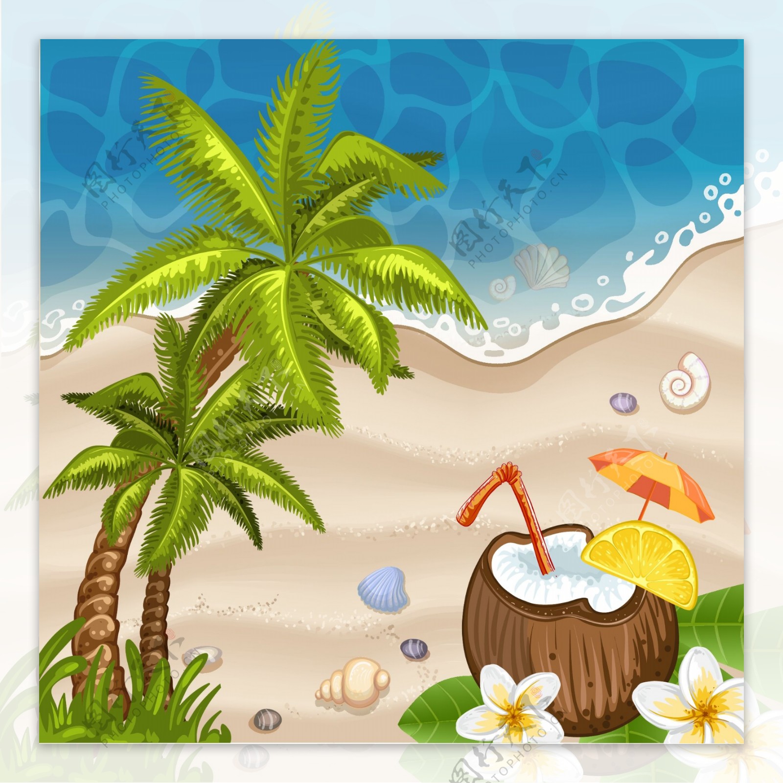 大海沙滩椰子