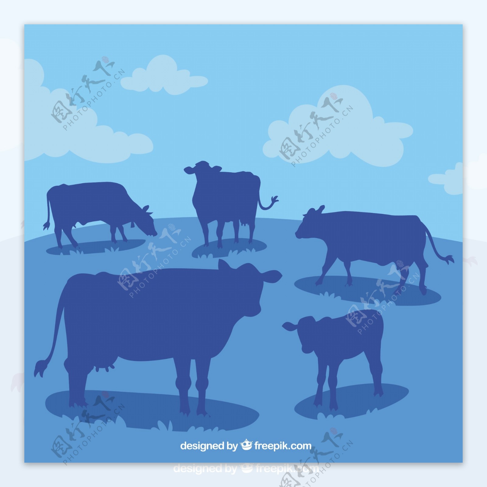 许多牛的轮廓景观