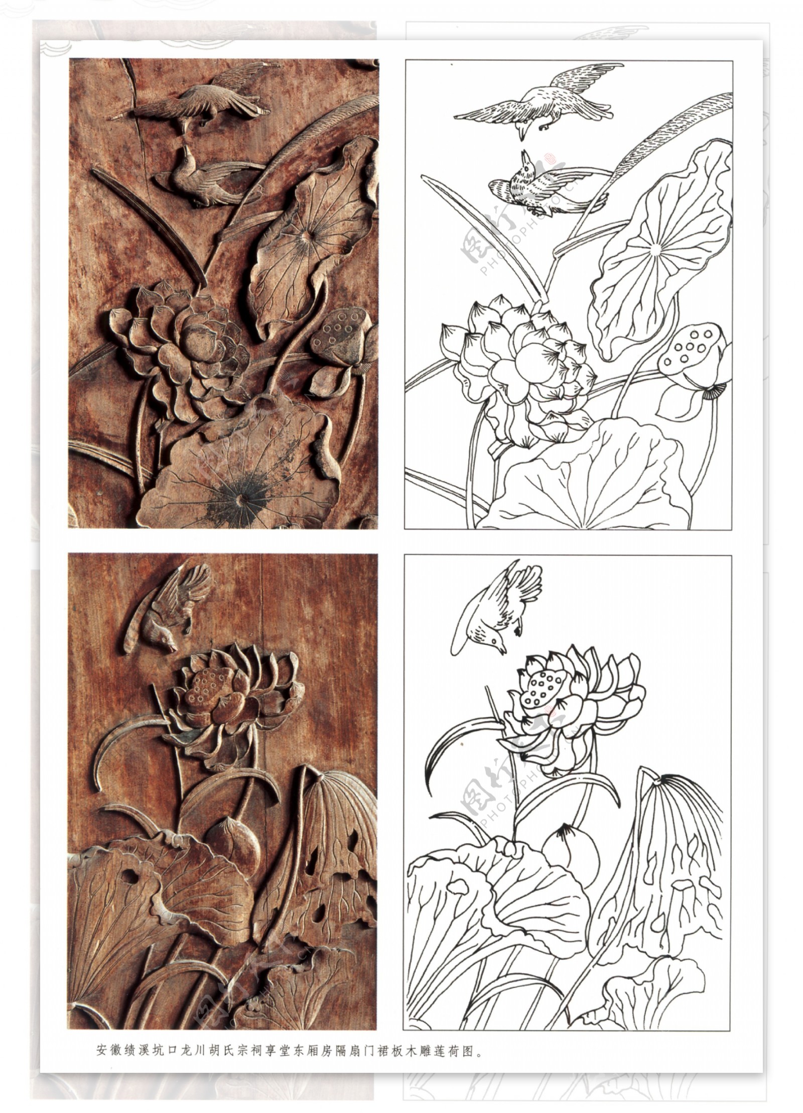 古代建筑雕刻纹饰草木花卉荷莲34
