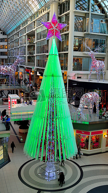 高耸的绿色圣诞树