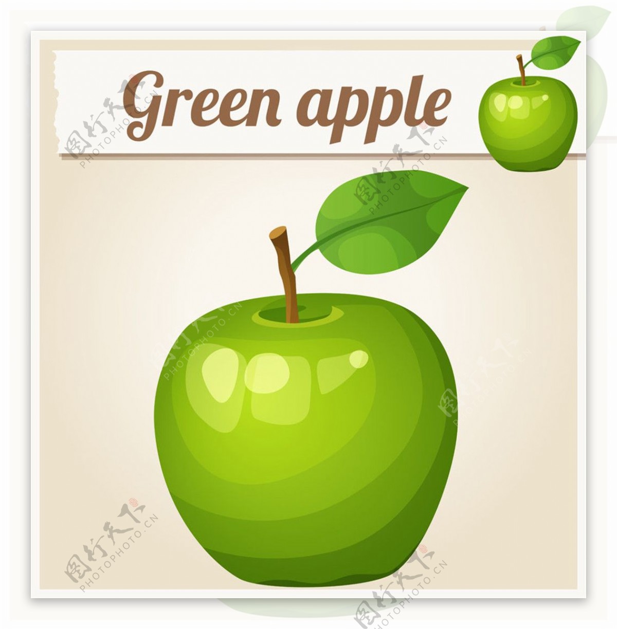绿色的苹果图片