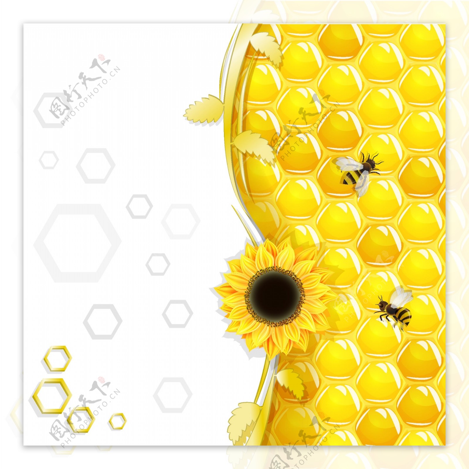 卡通蜜蜂与蜂巢背景