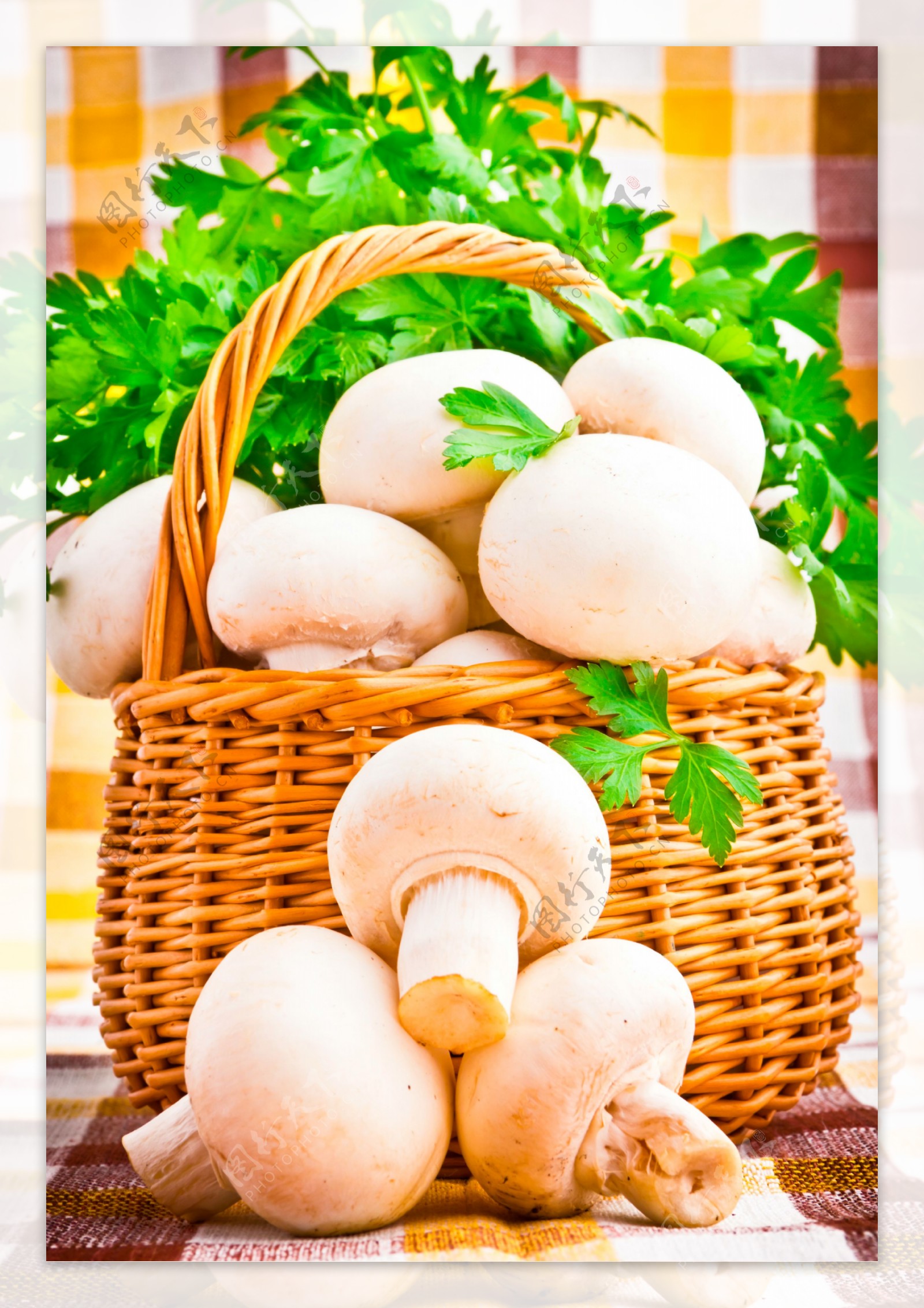 青菜炒蘑菇的做法_【图解】青菜炒蘑菇怎么做好吃_yun多多_家常做法大全_豆果美食