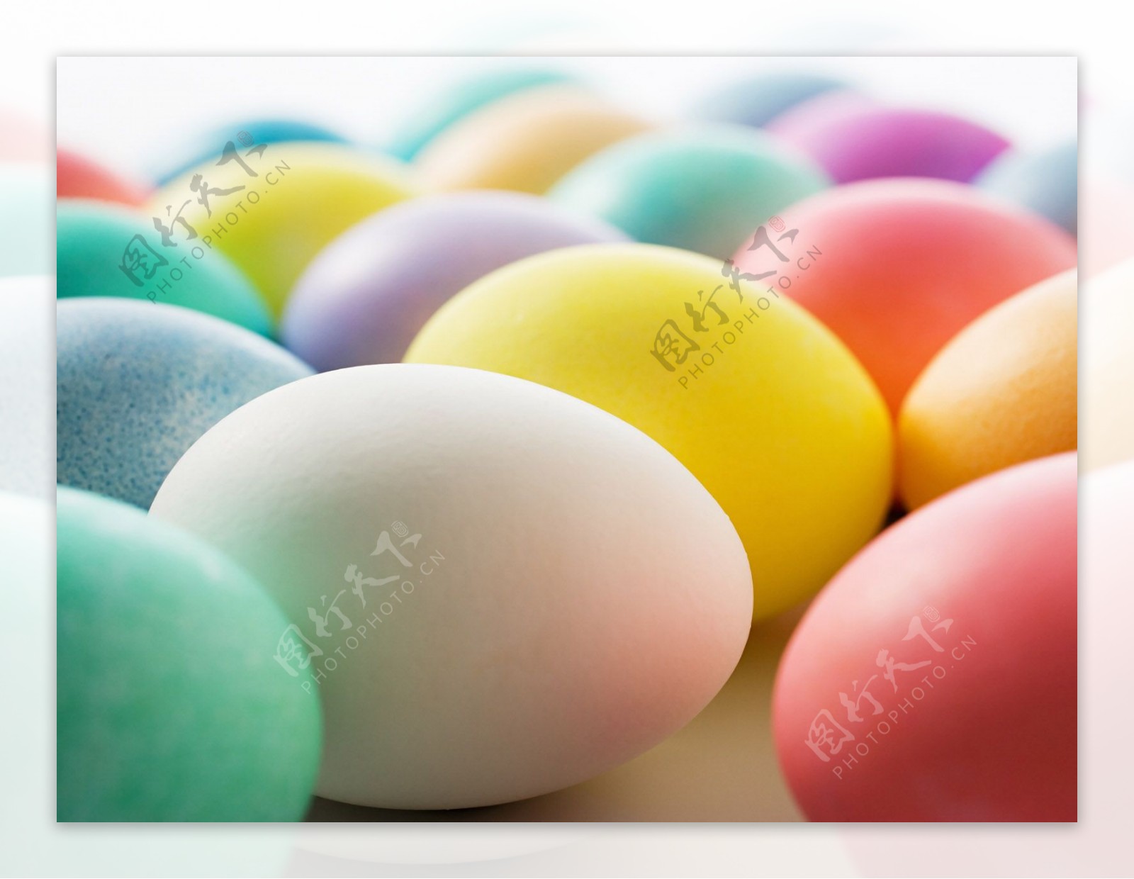 彩色鸡蛋背景图