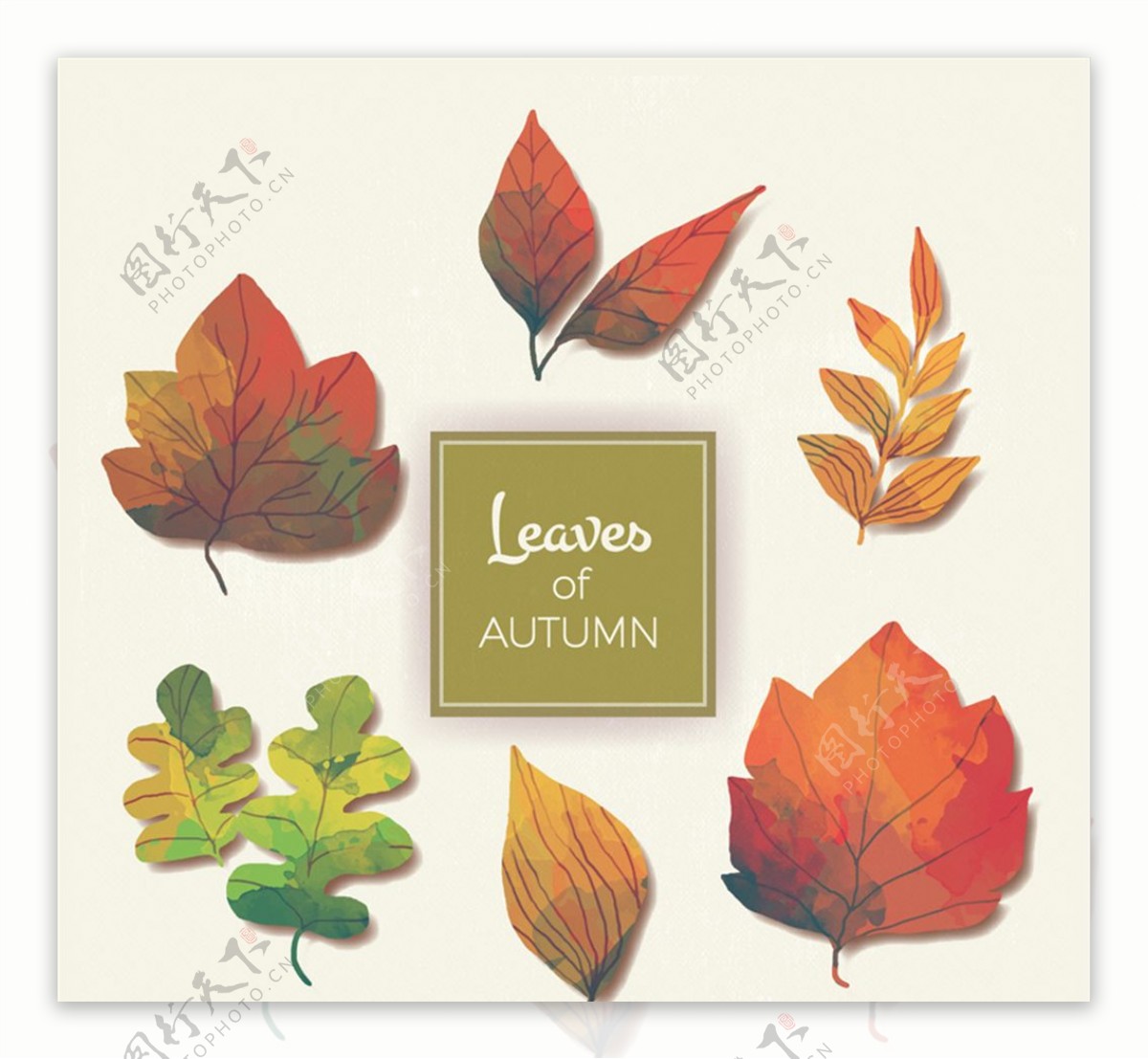 6款彩绘秋季树叶矢量素材