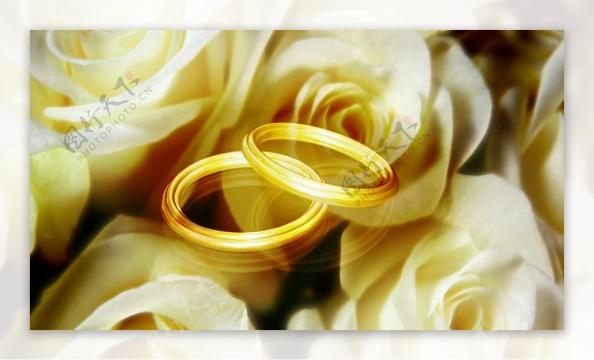 浪漫玫瑰情侣结婚戒指