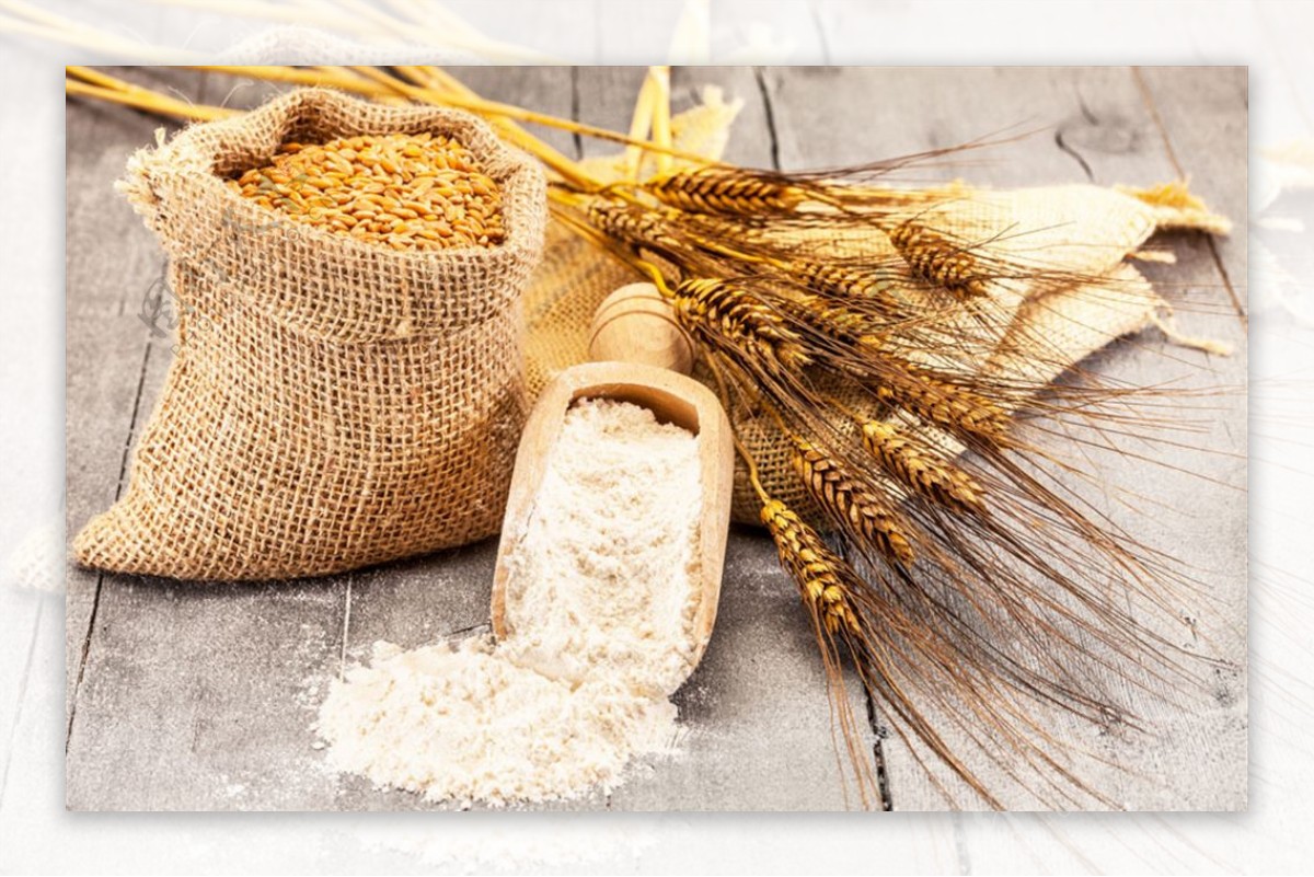 小麦磨成面粉需要几个步骤？-小麦怎么磨成面粉