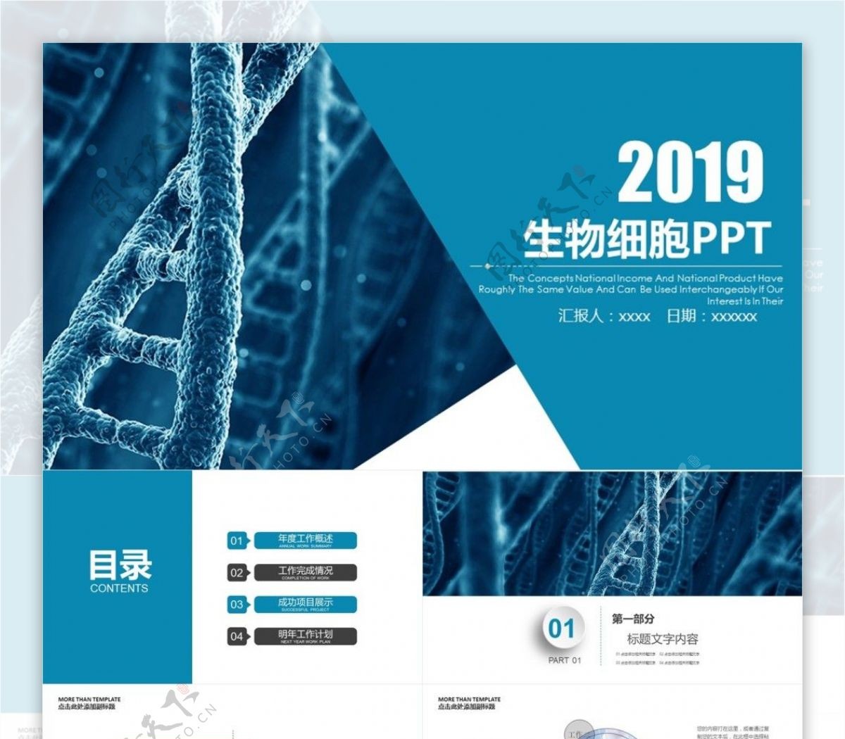 2019蓝色简约生物细胞研究PPT